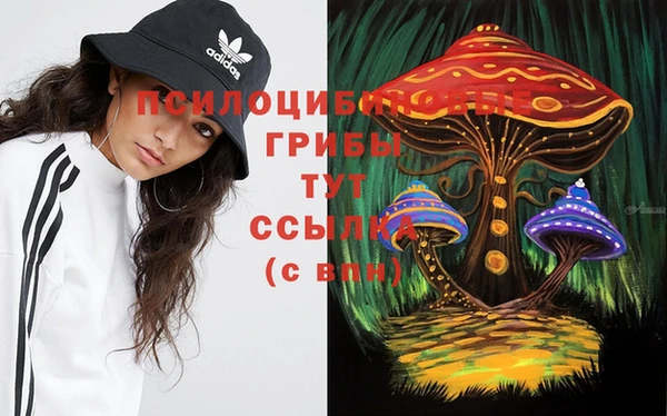 метадон Абинск