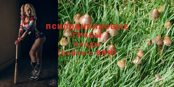 метадон Абинск