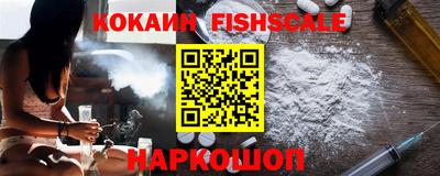 стаф Кингисепп