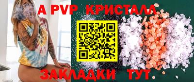 стаф Кингисепп