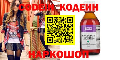 стаф Кингисепп