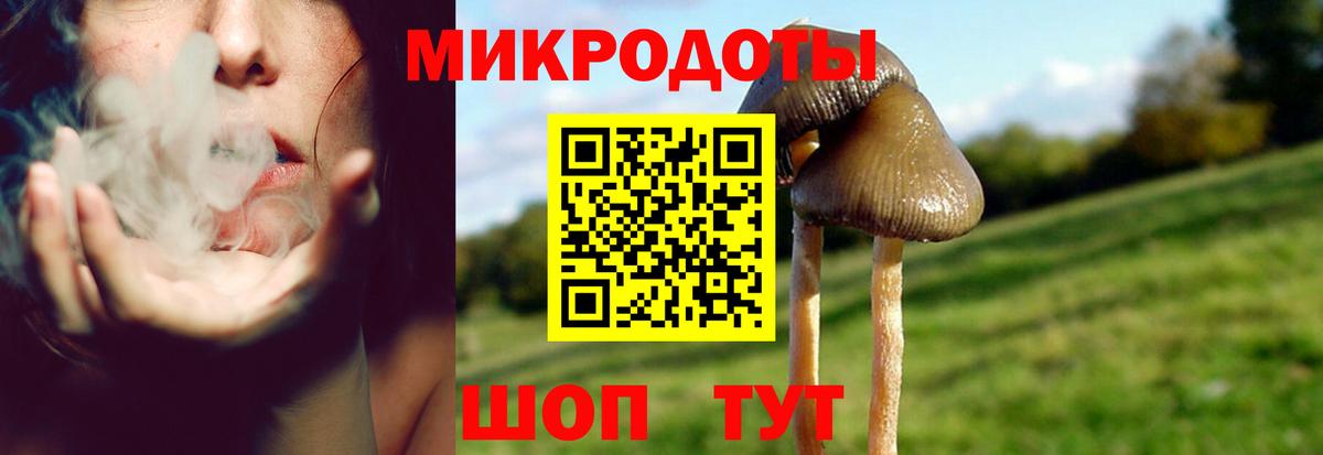 Кисловодск  Галлюциногенные грибы Cubensis  Псилоцибиновые грибы MAGIC MUSHROOMS  Вход с VPN 